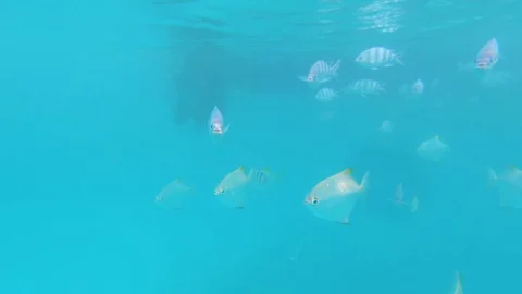 Mahe Island. Stock Footage 101974895