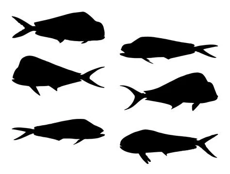Mahi Mahi fish silhouette vector art Stock Illustration