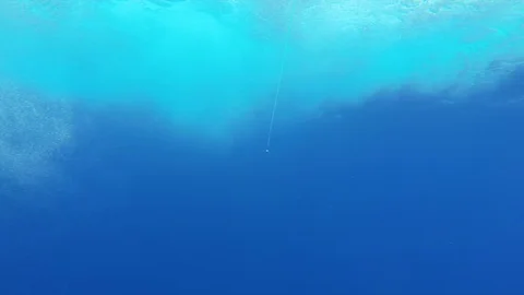 A Mahi Mahi gets caught on a trawling lure Stock Footage 97712551