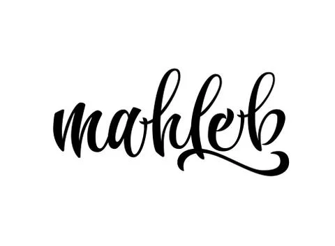 Mahleb - vector hand drawn calligraphy style lettering word. Stock Illustration