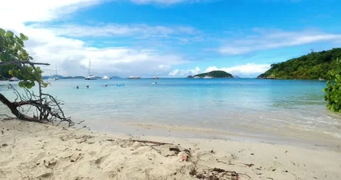 Maho Bay, St. John, USVI 動画素材 239283853