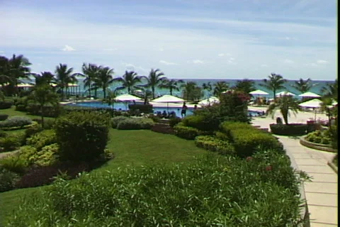 Maho Grounds-pan Stock-Footage 818734