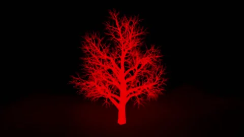 A mahogany tree without leaves glows in complete darkness. Stock Footage 138621458