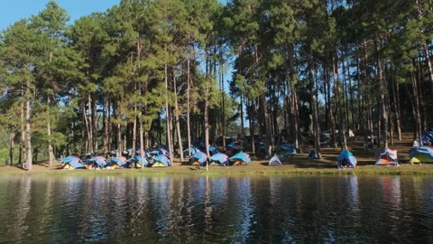 Mai83 Stock Footage 169300676