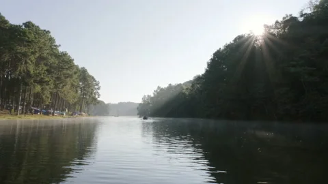 Mai86 Stock Footage 169299479