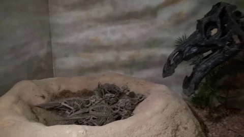 Maiasaura peeblesorum Stock Footage 75655968