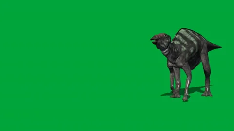 Maiasaura Walking Forward FS Video stock 32846607