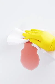 A maid cleaning up mess Stock Photos