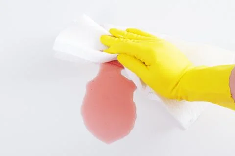 A maid cleaning up mess Stock Photos