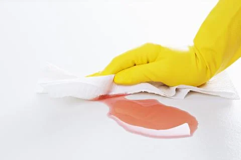 A maid cleaning up mess Photos