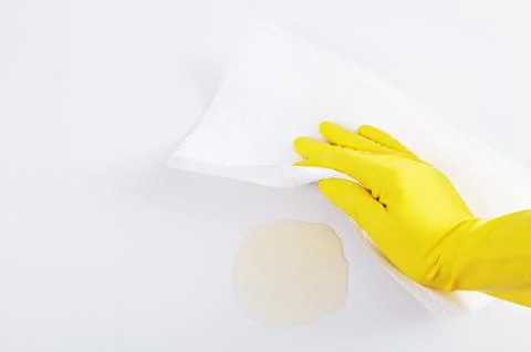 A maid cleaning up mess Foto stock