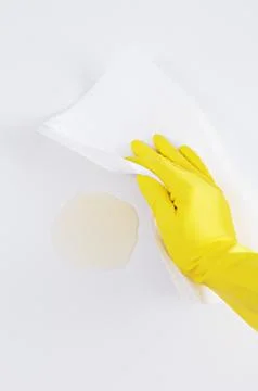 A maid cleaning up mess Photos