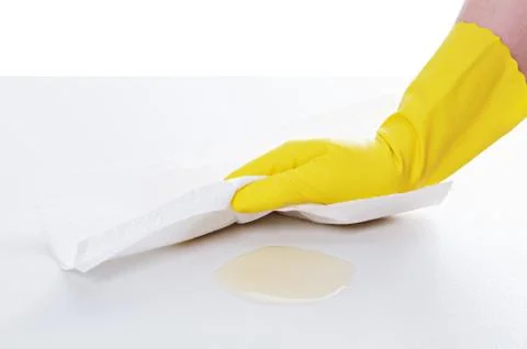 A maid cleaning up mess Stock Photos