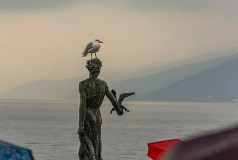 Maiden with the seagull Stock Photos