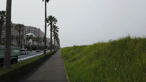 Maihama Stock-Footage 148219772