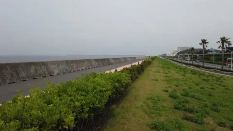 Maihama Stock Footage 148219975