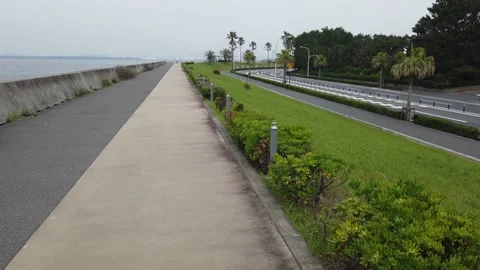 Maihama Stock Footage 148220025