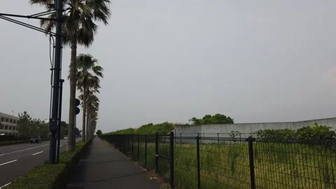 Maihama Stock Footage 148220065