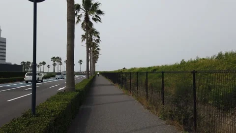 Maihama Stock Footage 148220105