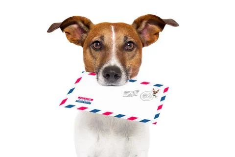 Mail dog Illustration