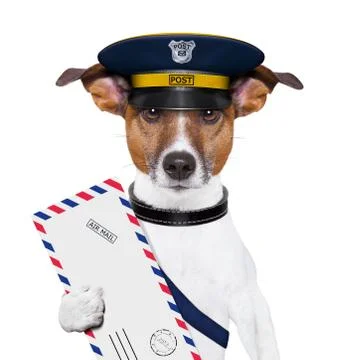 Mail dog Illustration