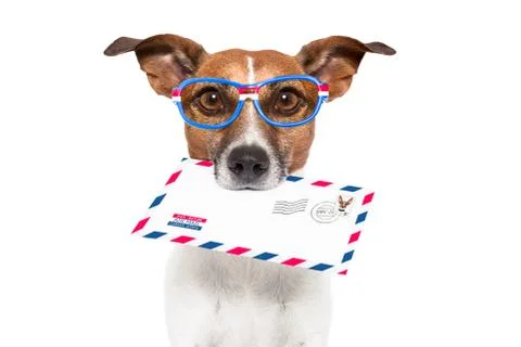Mail dog Illustrazione stock