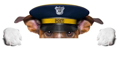 Mail dog Illustration