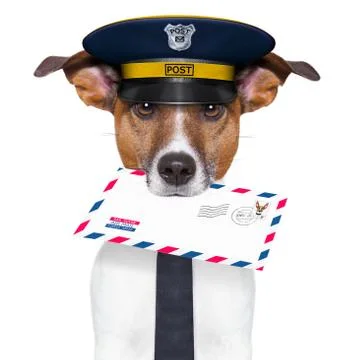 Mail dog 스톡 사진