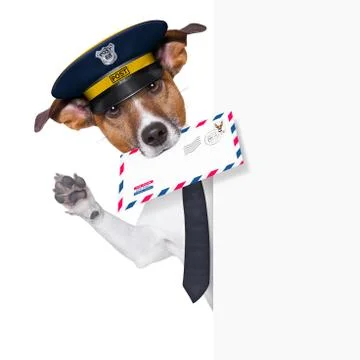 Mail dog Stock-Fotos