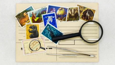 Mail envelope postage stamp and magnifying glass Stock Photos