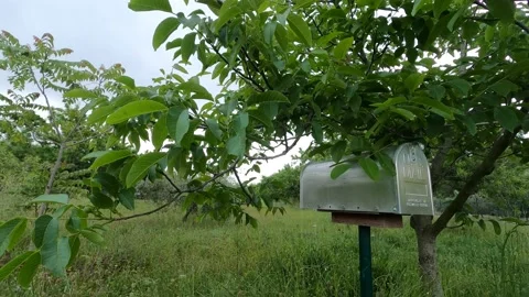 MAILBOX TIMELAPSE Stock Footage 138908725