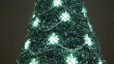Main Christmas Tree And Festive Illumination . New Year Stock Footage 168516012