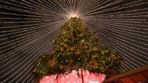 The main Christmas tree of the Russian Federation. Stock Footage 128681375