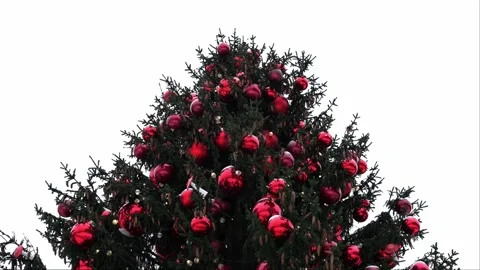 Main Christmas tree Town Square decorated for New Year. Stock Footage 250232569
