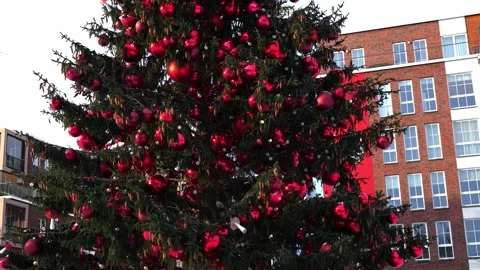 Main Christmas tree Town Square decorated for New Year. Stock Footage 254362930