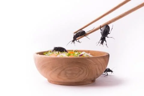 Main course cockroach Stockfoto's