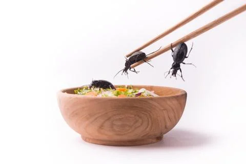 Main course cockroach Stockfoto's