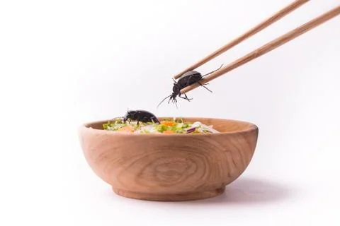 Main course cockroach Stock Photos