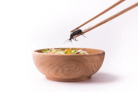 Main course cockroach Stockfoto's