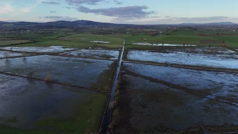 Main drainage ditch at Walmore Common, Forest of Dean. Stock Footage 263745752