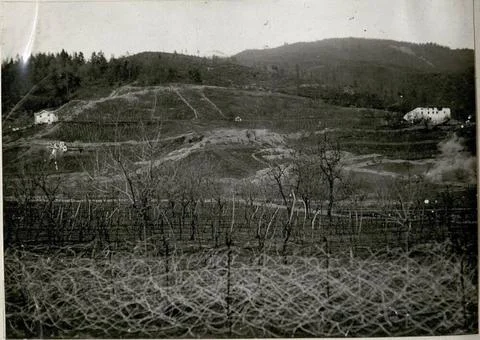 Main exercise of the storm course in Levico, explosions of hand grenades a... Stock Photos