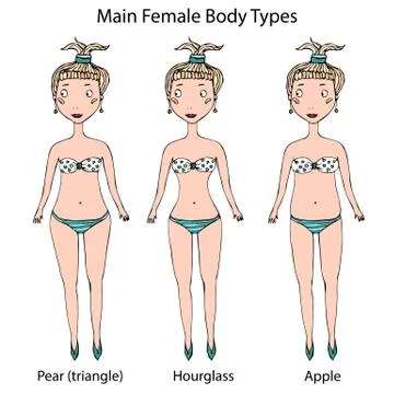 Main Female Body Shape Types. Hourglass, Pear or Triangle and Apple. Realistic Stock Illustration