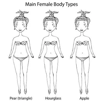 Main Female Body Shape Types. Hourglass, Pear or Triangle and Apple. Realistic Stock Illustration