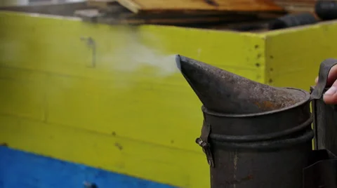 The main function of smoker - to scare away the bees Vidéo 68660701