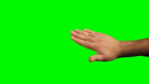 Main hand hide Stock Footage 77643196