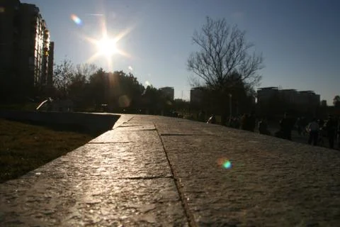 Main Line To Sunlight, Macro Border Stock Photos
