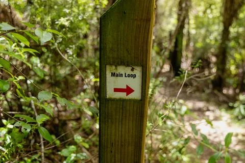 Main Loop Arrow Sign Beside Forest Trail Stock Photos