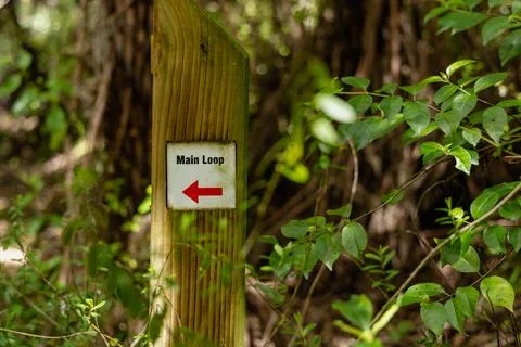 Main Loop Arrow Trail Marker Among Foliage Stock Photos
