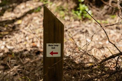 Main Loop Exit Trail Direction Signpost Foto stock