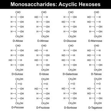 Main monosaccharides - hexoses Stock Illustration
